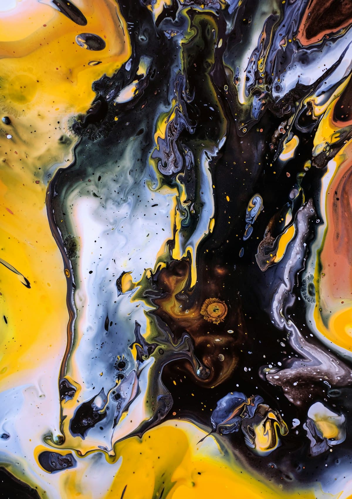 Original Artworks & Limited Edition Prints